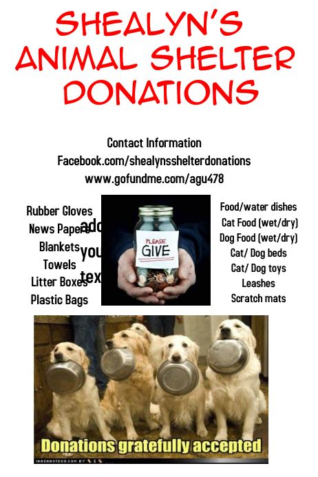 animal shelter fundraising ideas|48 Fundraising Ideas for Animals and Pets .
